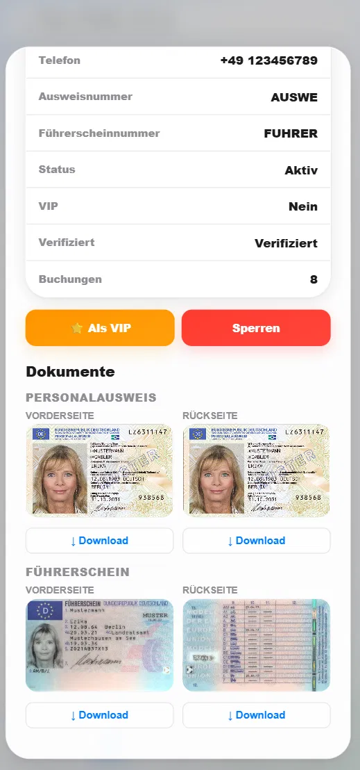 HyghFleet App Screenshot aus der Live-Demo