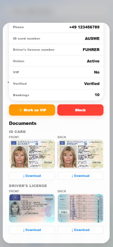 HyghFleet app screenshot from the live demo